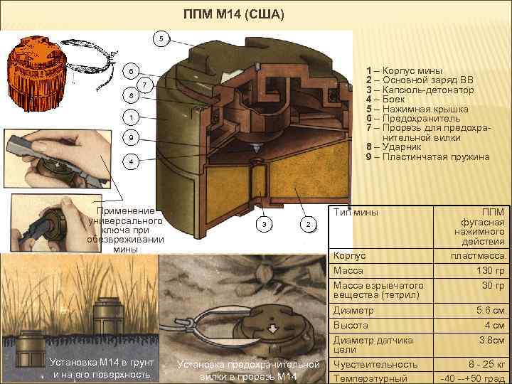 ППМ М 14 (США) 5 1 – Корпус мины 2 – Основной заряд ВВ