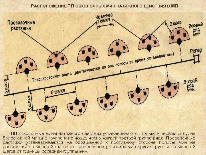 РАСПОЛОЖЕНИЕ ПП ОСКОЛОЧНЫХ МИН НАТЯЖНОГО ДЕЙСТВИЯ В МП ПП осколочные мины натяжного действия устанавливаются