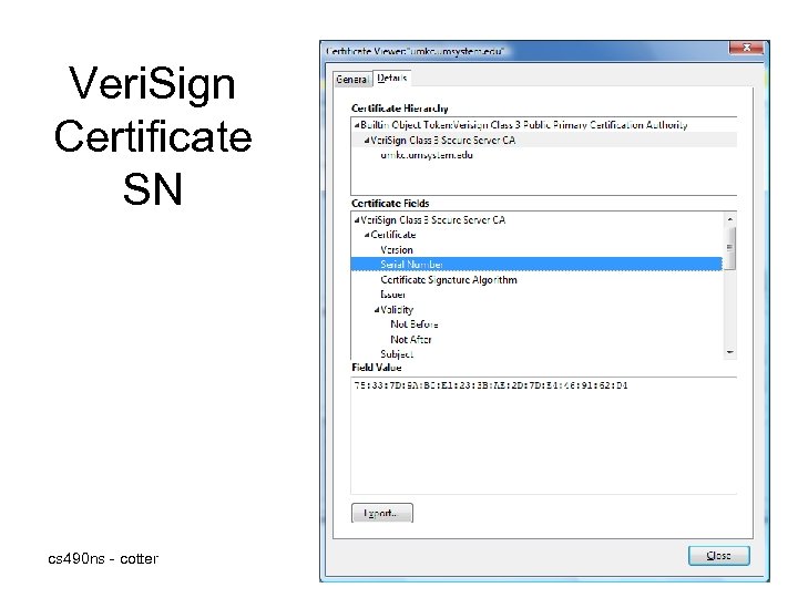 Veri. Sign Certificate SN cs 490 ns - cotter 