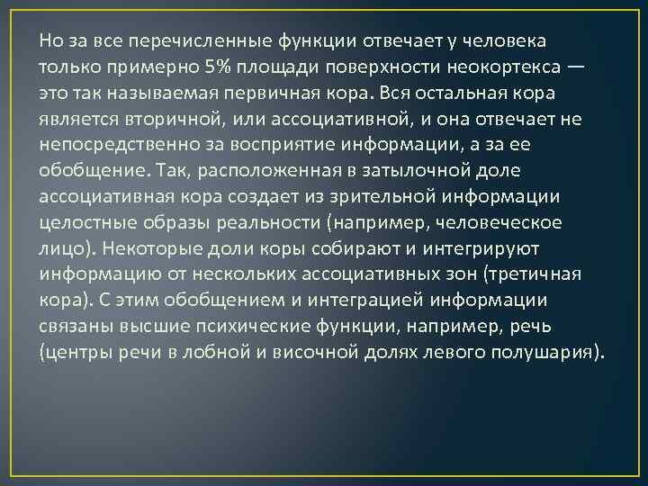 Но за все перечисленные функции отвечает у человека только примерно 5% площади поверхности неокортекса