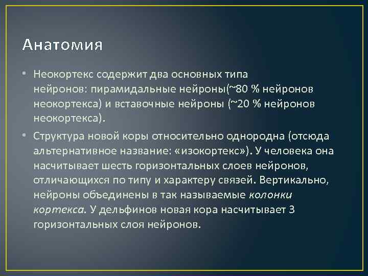 Анатомия • Неокортекс содержит два основных типа нейронов: пирамидальные нейроны(~80 % нейронов неокортекса) и