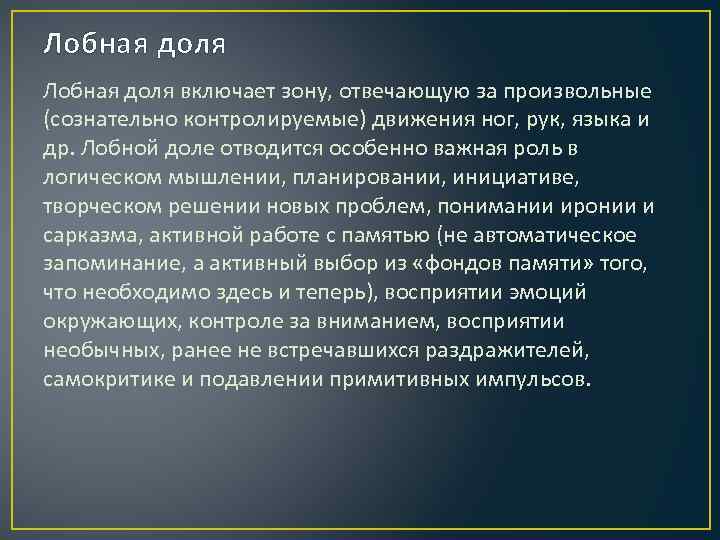 Лобная доля включает зону, отвечающую за произвольные (сознательно контролируемые) движения ног, рук, языка и