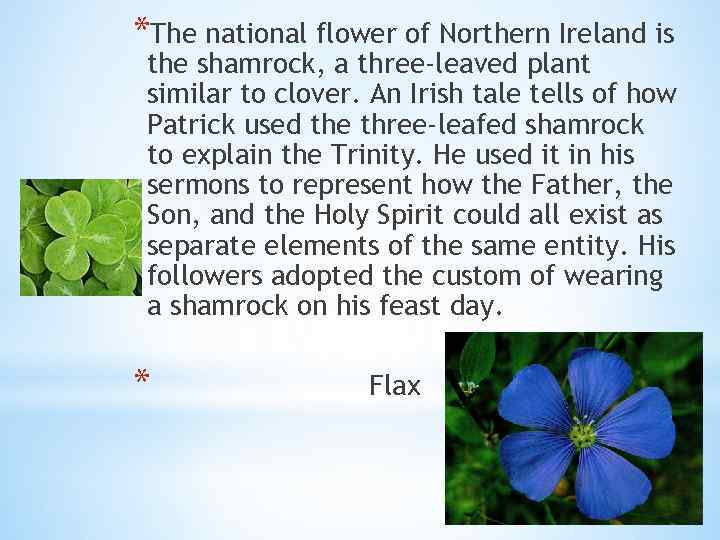 *The national flower of Northern Ireland is the shamrock, a three-leaved plant similar to