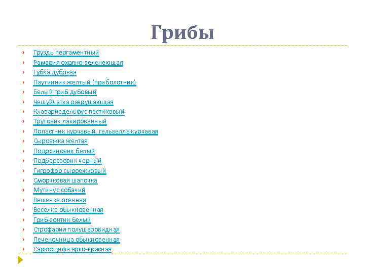 Грибы Груздь пергаментный Рамария охряно-зеленеющая Губка дубовая Паутинник желтый (приболотник) Белый гриб дубовый Чешуйчатка