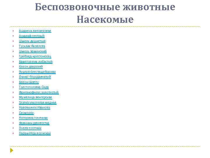 Беспозвоночные животные Насекомые Андрена лапчатковая Аскалаф пестрый Шмель душистый Тускляк Яковлева Шмель армянский Грибоед-крестоносец