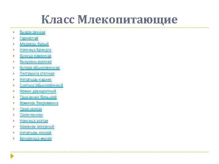 Класс Млекопитающие Выдра речная Горностай Медведь бурый Ночница Брандта Куница каменная Выхухоль русская Кутора