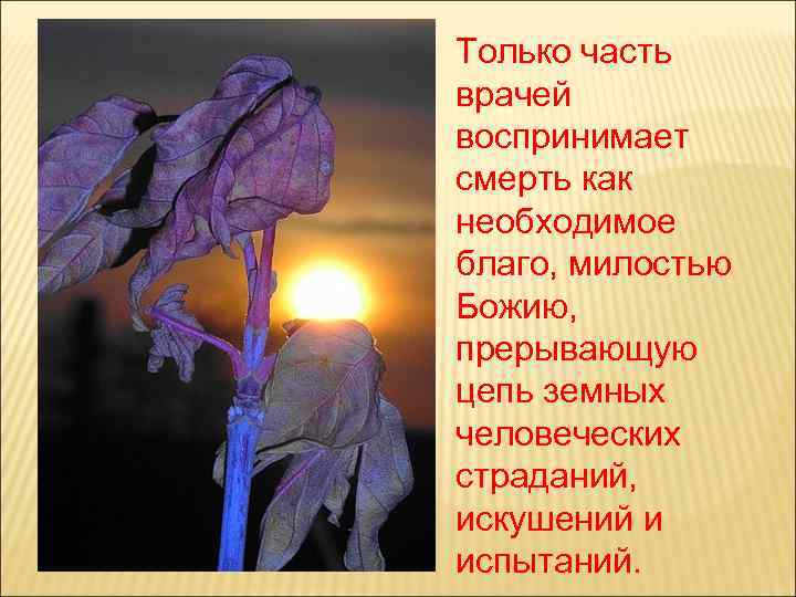 Только часть врачей воспринимает смерть как необходимое благо, милостью Божию, прерывающую цепь земных человеческих