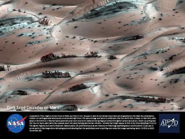 Dark Sand Cascades on Mars Explanation: They might look like trees on Mars, but