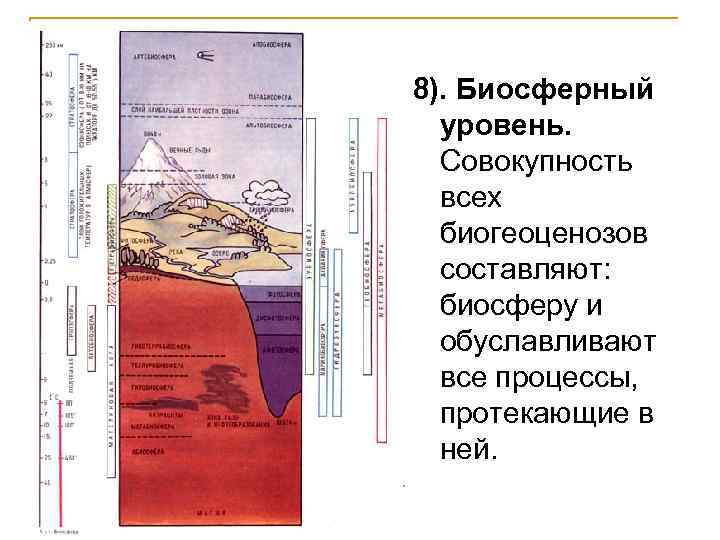 8). Биосферный уровень. Совокупность всех биогеоценозов составляют: биосферу и обуславливают все процессы, протекающие в