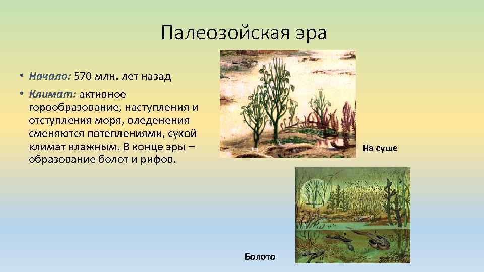 Палеозойская эра • Начало: 570 млн. лет назад • Климат: активное горообразование, наступления и