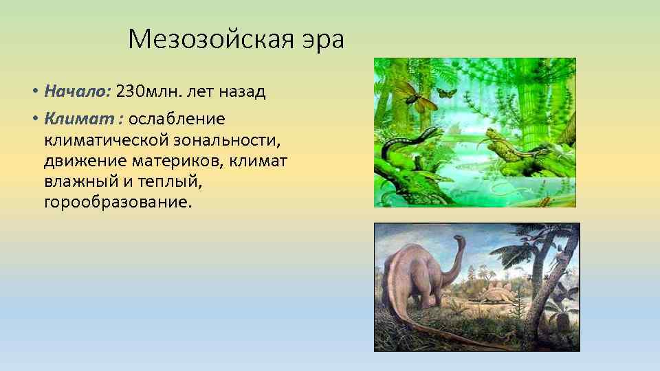 Мезозойская эра • Начало: 230 млн. лет назад • Климат : ослабление климатической зональности,