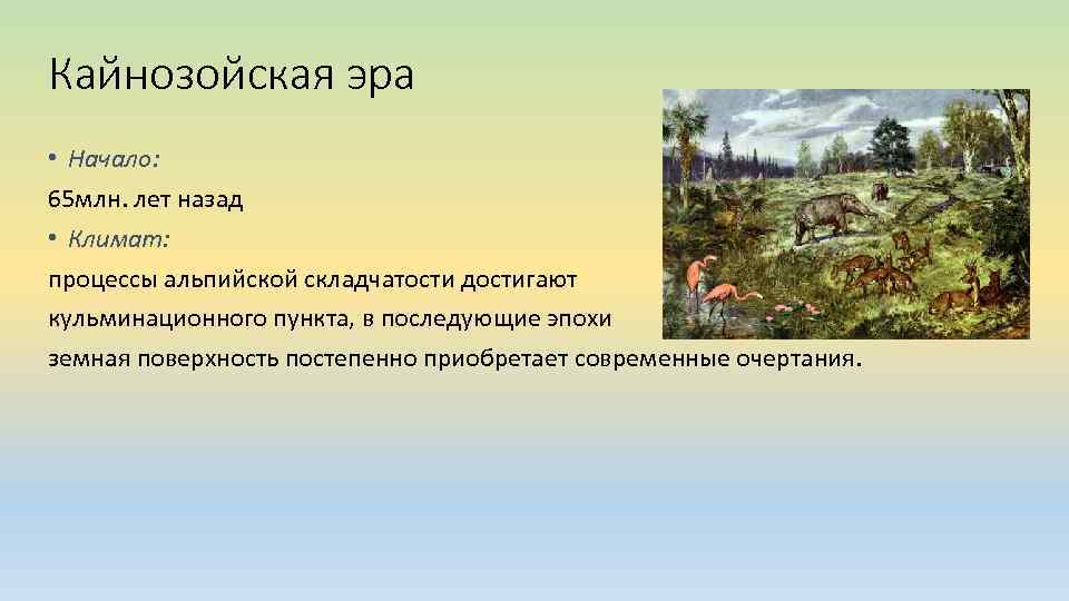Кайнозойская эра • Начало: 65 млн. лет назад • Климат: процессы альпийской складчатости достигают