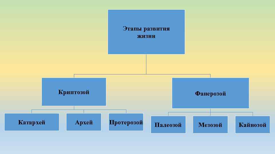 Этапы развития жизни Криптозой Катархей Архей Фанерозой Протерозой Палеозой Мезозой Кайнозой 