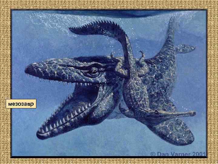 мезозавр 