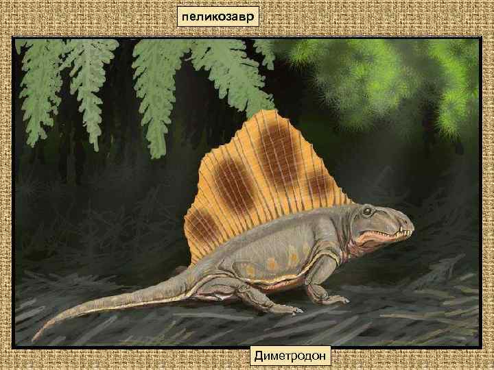 пеликозавр Диметродон 