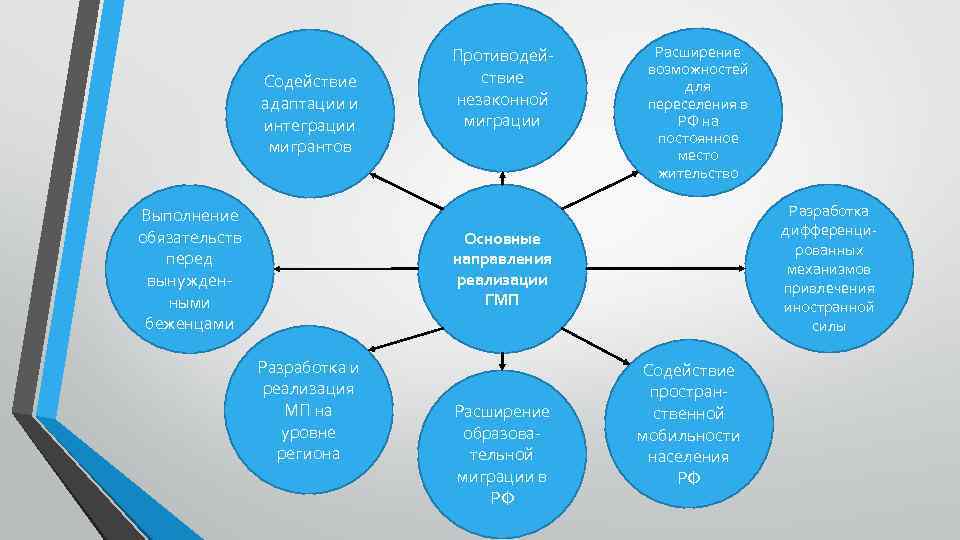 Содействие адаптации и интеграции мигрантов Выполнение обязательств перед вынужденными беженцами Противодействие незаконной миграции Расширение