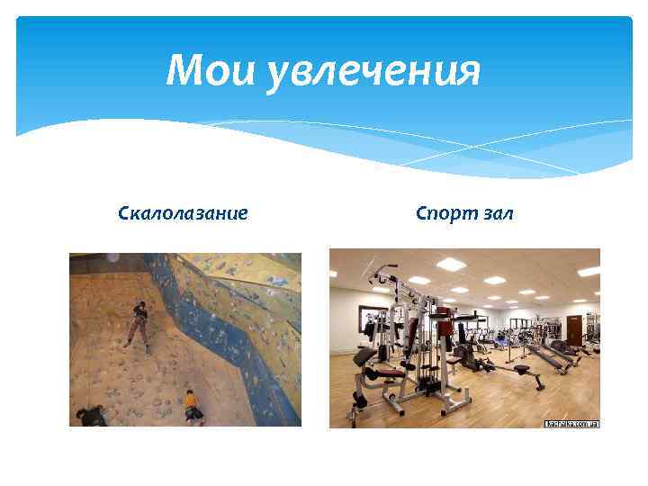 Мои увлечения Скалолазание Спорт зал 