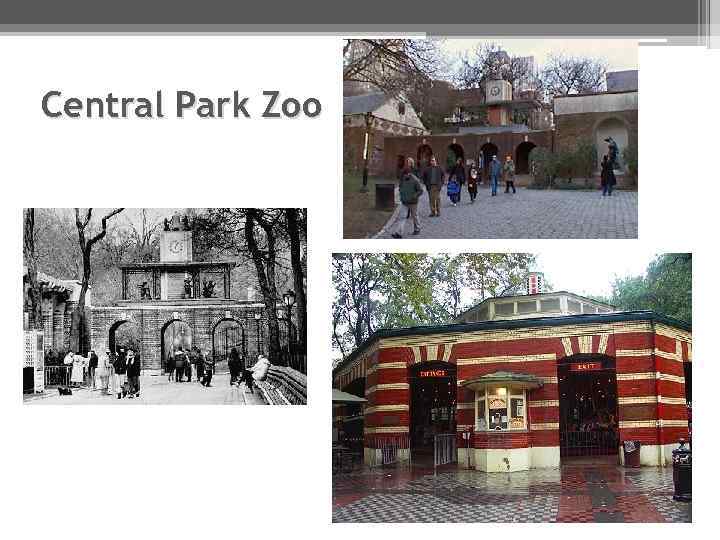 Central Park Zoo 