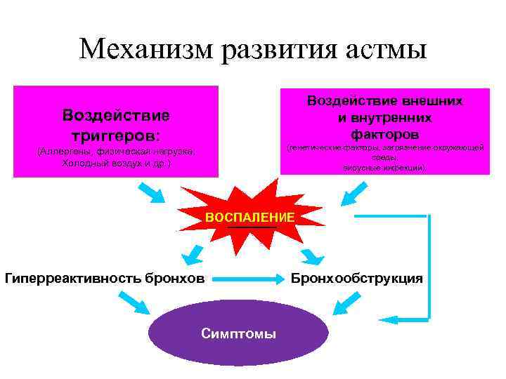 Механизм развития астмы Воздействие внешних и внутренних факторов Воздействие триггеров: (генетические факторы, загрязнение окружающей