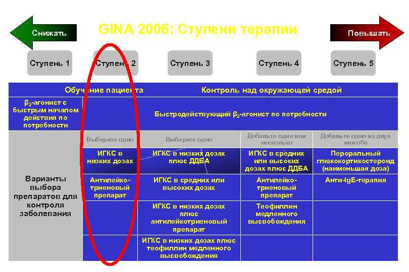 1 ступень 2 ступень. Ступени Gina. Первая и вторая ступень базисной терапии. IV ступень терапии. Gina 2019 ступени.