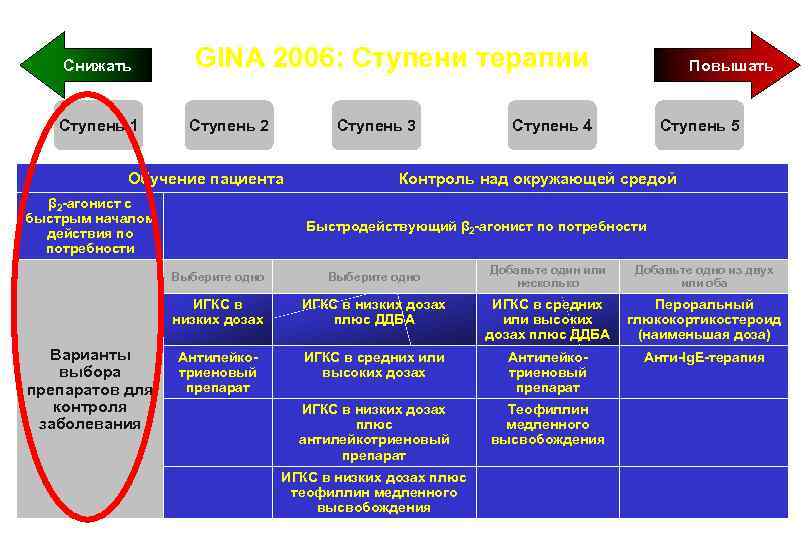 1 ступень 2 ступень. Gina ступени терапии. Ступенчатая терапия остеоартрита. Терапия 1 ступени. Интернациональный Интерфейс ступень 2.