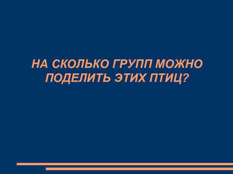 НА СКОЛЬКО ГРУПП МОЖНО ПОДЕЛИТЬ ЭТИХ ПТИЦ? 