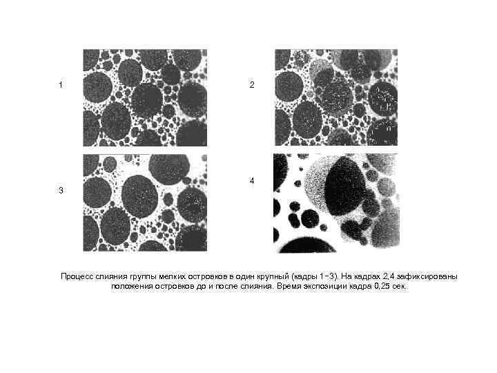 1 2 4 3 Процесс слияния группы мелких островков в один крупный (кадры 1−