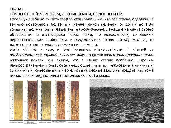 Какие почвы в степях россии. Почвы степи в России. Почвенный профиль степей России. Чернозем в степи. Почвы Степной зоны.