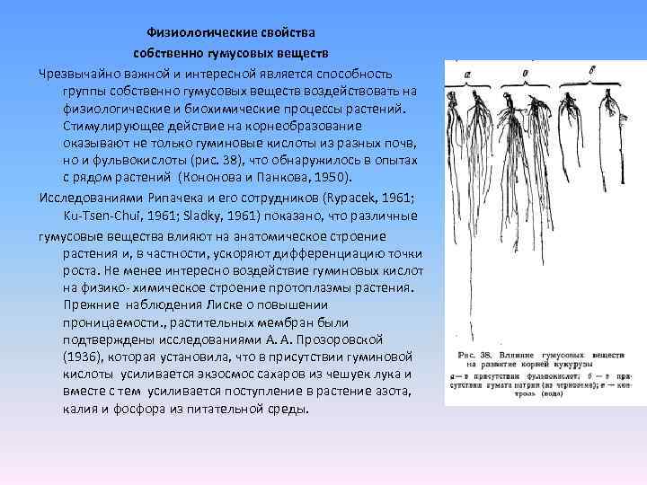 Физиологические свойства собственно гумусовых веществ Чрезвычайно важной и интересной является способность группы собственно гумусовых