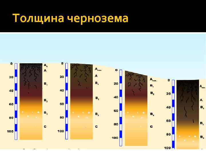 Толщина чернозема