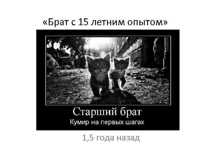  «Брат с 15 летним опытом» 1, 5 года назад 
