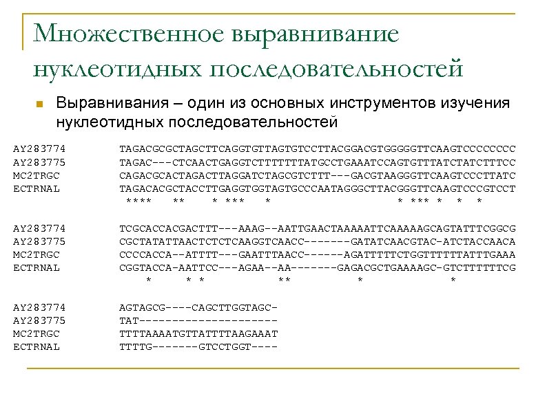Множественное выравнивание нуклеотидных последовательностей n Выравнивания – один из основных инструментов изучения нуклеотидных последовательностей