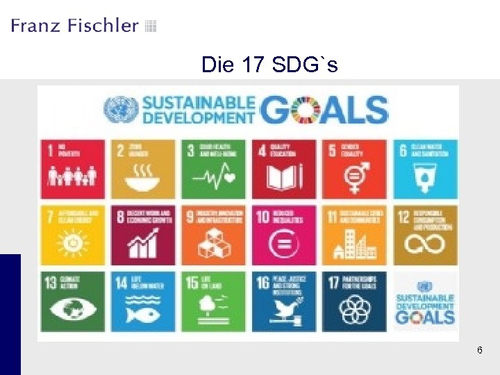 Die 17 SDG`s 6 