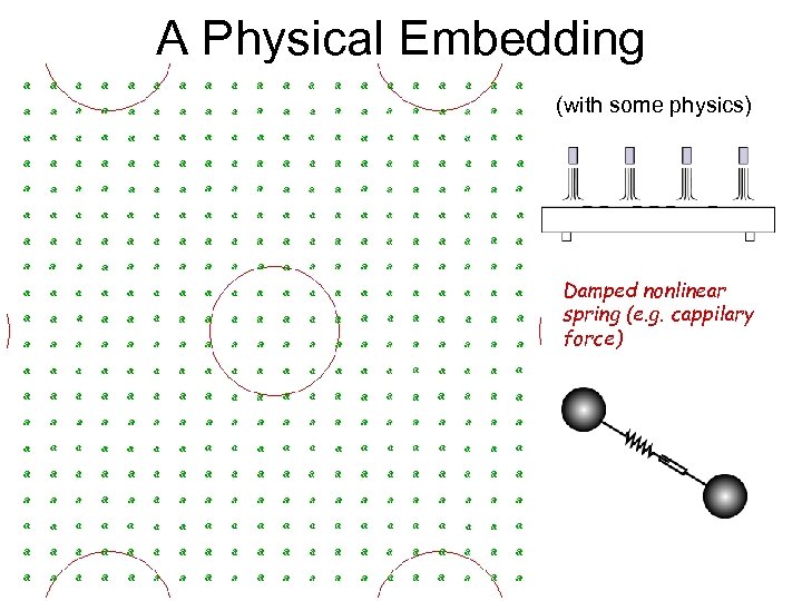 A Physical Embedding (with some physics) Damped nonlinear spring (e. g. cappilary force) 