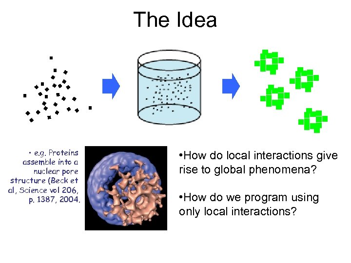 The Idea • e. g. Proteins assemble into a nuclear pore structure (Beck et