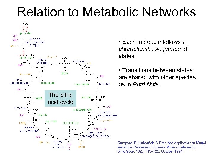 Relation to Metabolic Networks • Each molecule follows a characteristic sequence of states. •