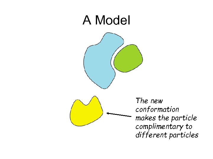 A Model The new conformation makes the particle complimentary to different particles 