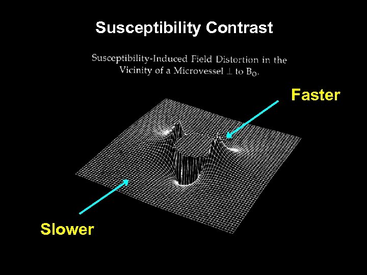 Susceptibility Contrast Faster Slower 