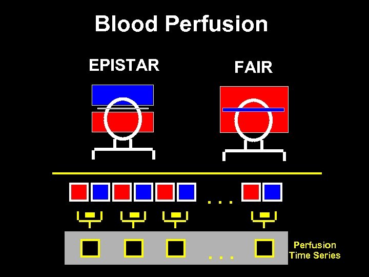 Blood Perfusion EPISTAR - - - FAIR . . . Perfusion Time Series 