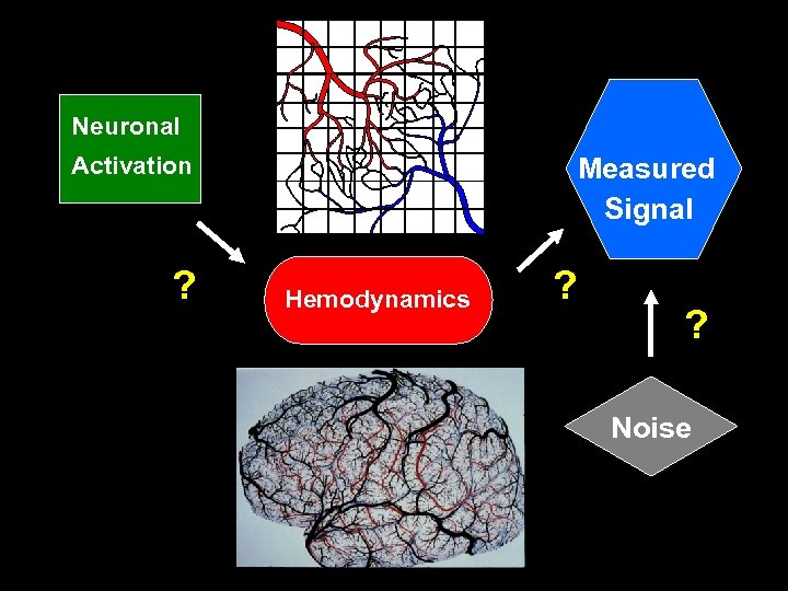 Neuronal Activation ? Measured Signal Hemodynamics ? ? Noise 