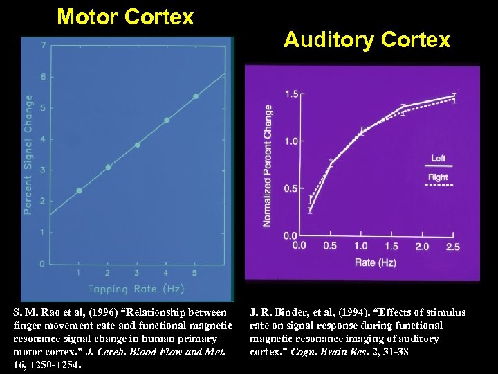 Motor Cortex S. M. Rao et al, (1996) “Relationship between finger movement rate and