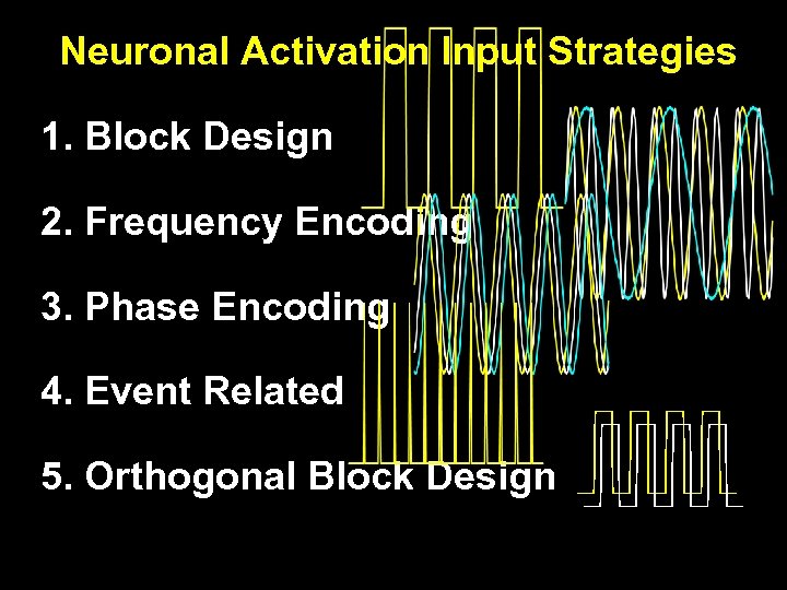 Neuronal Activation Input Strategies 1. Block Design 2. Frequency Encoding 3. Phase Encoding 4.