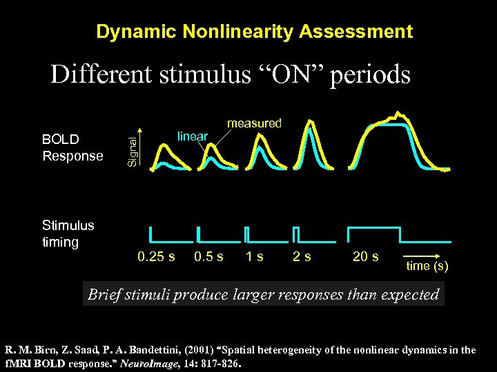 Dynamic Nonlinearity Assessment BOLD Response Stimulus timing Signal Different stimulus “ON” periods 0. 25