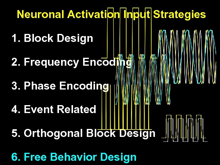 Neuronal Activation Input Strategies 1. Block Design 2. Frequency Encoding 3. Phase Encoding 4.