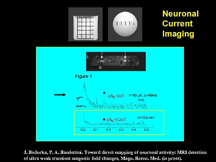 Neuronal Current Imaging Z X BR<2 n. T BR<0. 2 n. T J. Bodurka,