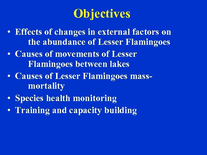 Objectives • Effects of changes in external factors on the abundance of Lesser Flamingoes
