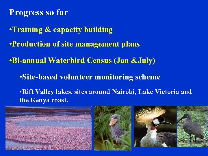 Progress so far • Training & capacity building • Production of site management plans