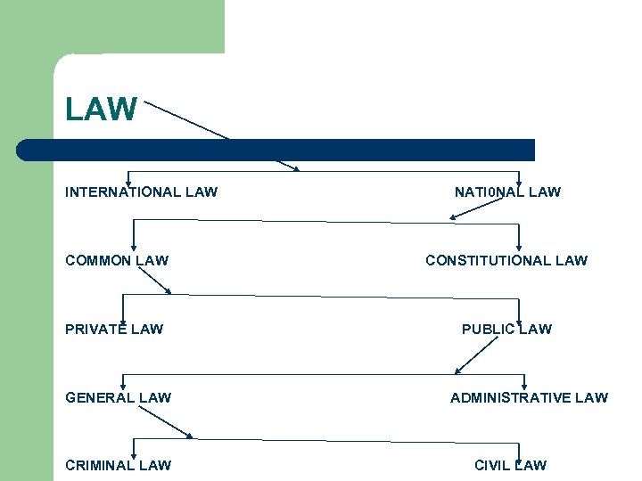 LAW INTERNATIONAL LAW NATI 0 NAL LAW COMMON LAW CONSTITUTIONAL LAW PRIVATE LAW PUBLIC