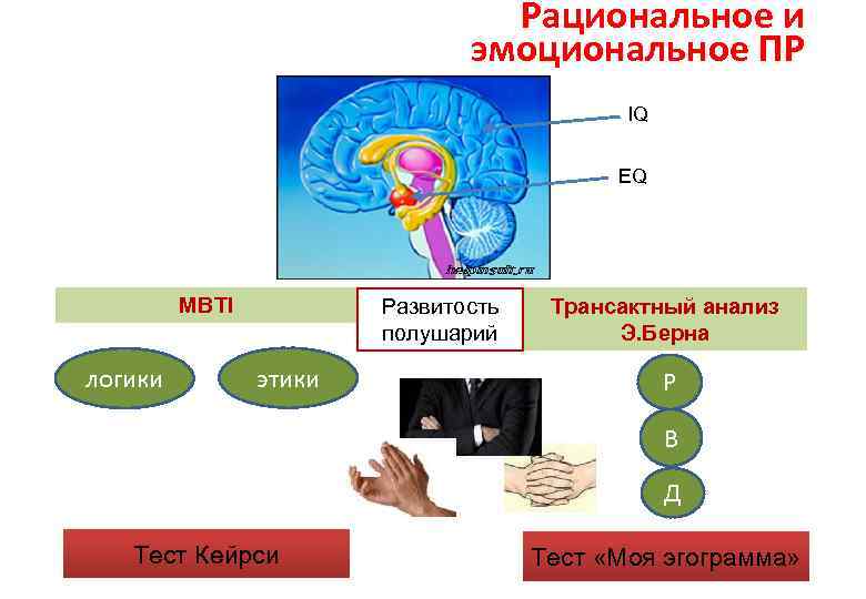 Рациональное и эмоциональное ПР IQ EQ MBTI логики Развитость полушарий этики Трансактный анализ Э.