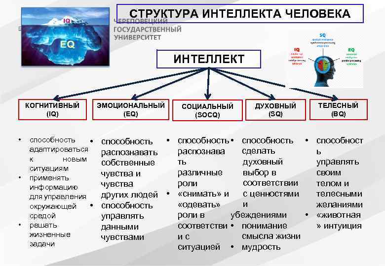 СТРУКТУРА ИНТЕЛЛЕКТА ЧЕЛОВЕКА ИНТЕЛЛЕКТ КОГНИТИВНЫЙ (IQ) • • • способность • адаптироваться к новым